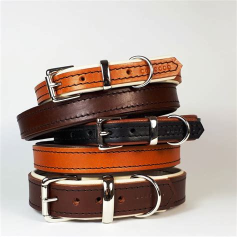 Padded Leather Dog Collar By Annrees