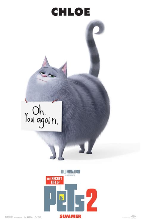 ‎watch trailers, read customer and critic reviews, and buy the secret life of pets 2 directed by chris renaud for $14.99. THE SECRET LIFE OF PETS 2 - The Art of VFXThe Art of VFX