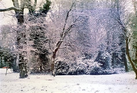Winter Wonderland © Clive Warneford Geograph Britain And Ireland