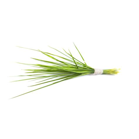 Doob Grass Durva Grass Garike Price Buy Online At ₹250 In India