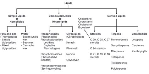 Classification Of Lipids Biology Ease