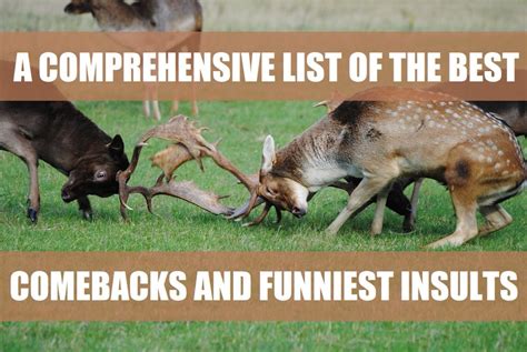 A Comprehensive List Of The Best Comebacks And Funniest Insults Pairedlife