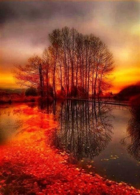 Beautiful Autumn Sunset Photo Favs Pinterest