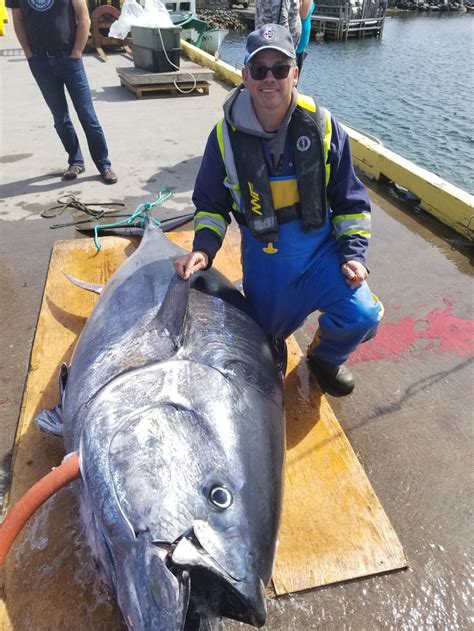 These Guys Caught A 922 Pound Tuna Not Bad For First Timers Cbc News