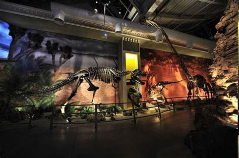 Jurassic Land The Biggest Dinosaur Themed Park In Europe