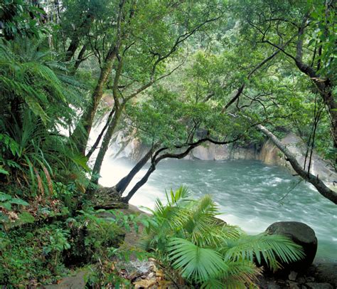 Wet Tropics Of Queensland World Heritage