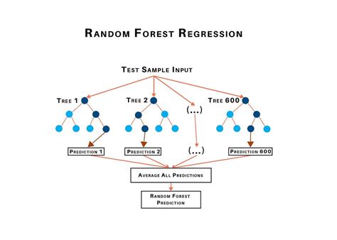 Tutorial Creating A Random Forest Regression Model In R And Using It
