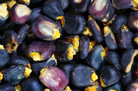 Blue Corn Pozole Stock Image Image Of Textures Ingredient 26533211