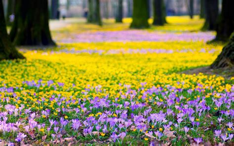 31 prachtige lente achtergronden mooie achtergronden 11648 hot sex picture