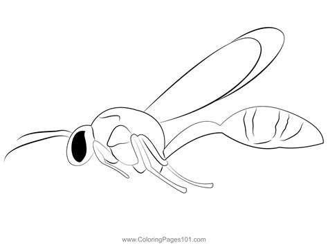 Potter Wasp Coloring Page For Kids Free Wasps Printable Coloring