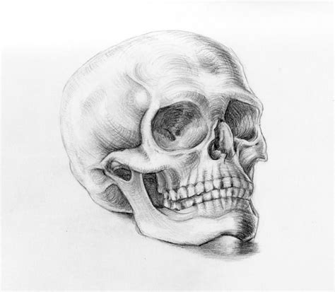 Drawing a convertible in perspective for young designers can be very daunting and intimidating because the interior is visible. How To Draw A Skull | Skull drawing, Skull sketch ...
