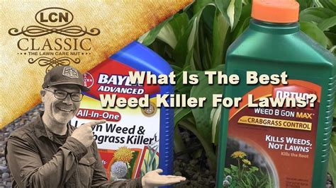It presents plenty of your handgun's grip making a draw intuitive, while still keeping it low enough to conceal. What Is The Best Weed Killer For Lawns | Best Weed Control ...