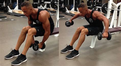 Bent Over Lateral Raise On Bench Exercise The Optimal You