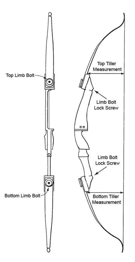 Recurve Bow Diagram