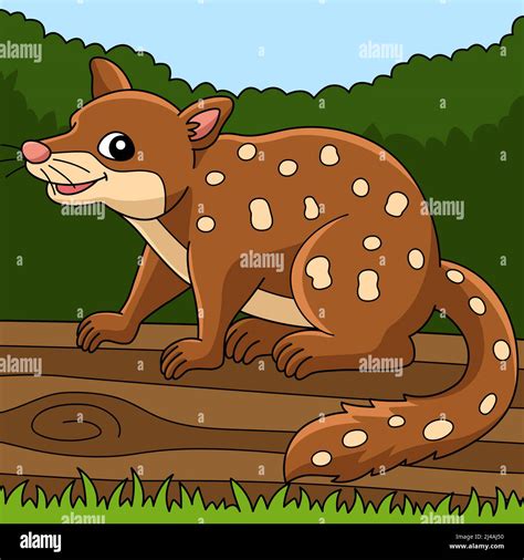 Tiger Quoll Animal Colored Cartoon Illustration Stock Vector Image
