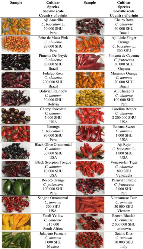 Diverse Varieties Of Chili Peppers With Indication Of Species