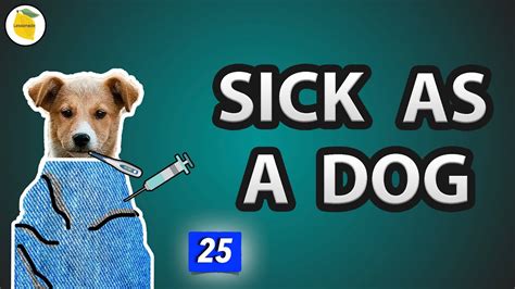 Sick As A Dog Meaning Most Common English Idiomseasy To Use In Daily