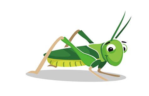 The Best Free Grasshopper Clipart Images Download From Free Cliparts Of Grasshopper At