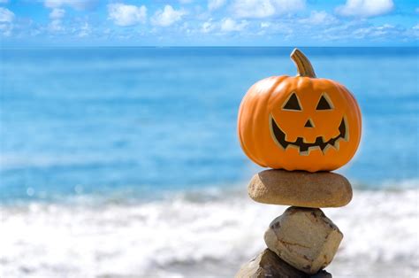 Pumpkins Parties October Festivals In Sarasota And Beyond Michael