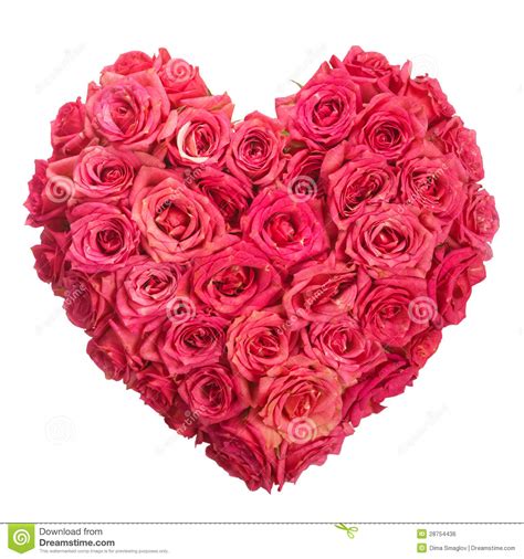 Pink Love Rose Flower Images Free Download Rose Flowers Bunch With