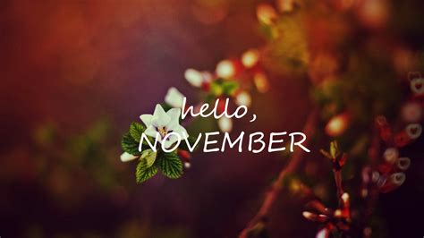 Hello November Hd Wallpapers