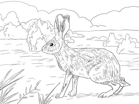 Adorable Little Rabbit Coloring Page - Free Printable Coloring Pages