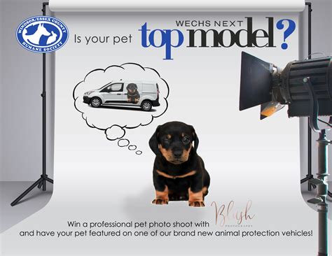Windsor/Essex County Humane Society | WECHS Next Top Model!