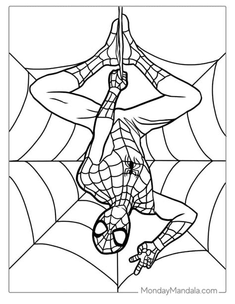 Spider Man Coloring Pages Free Pdf Printables