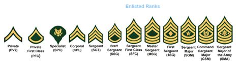 Cadet Rank Insignia And Awards United States Military Academy West