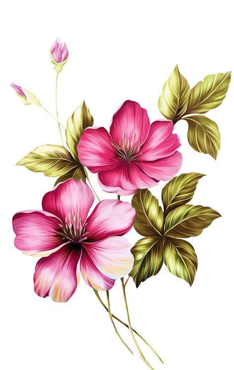 Botanical Flowers Print Botanical Drawings Flower Prints Flower Art