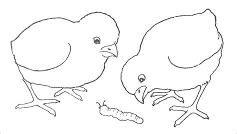 Baby Animals Coloring Pages Coloringbay