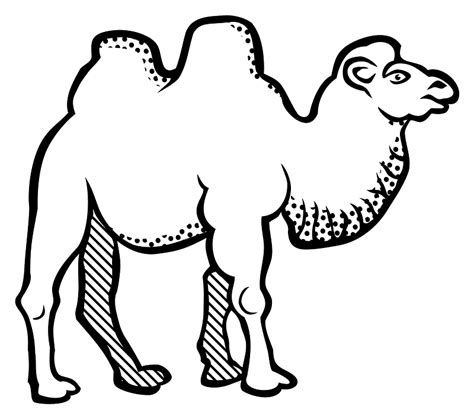 Bactrian Camel Outline Clipart Free Download Transparent Png Creazilla