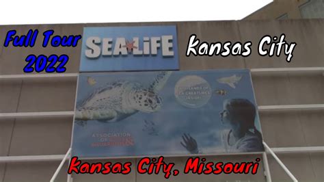 Sea Life Kansas City Aquarium Kansas City Missouri Youtube
