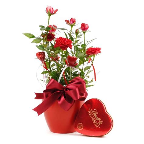 Roses And Sweet Heart Flower T Sendtbasket Delivering Ts