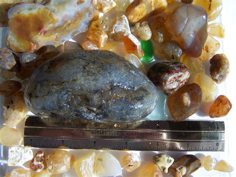 Agates Of The Oregon Coast Agate Found Just Yesterday