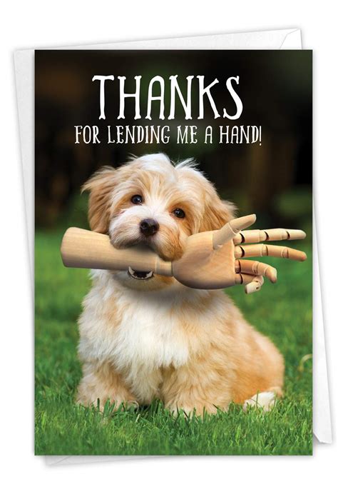 Funny Thank You Animals