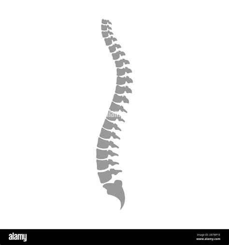 Back Pain Vector Icon Vector Stock Vector Image And Art Alamy