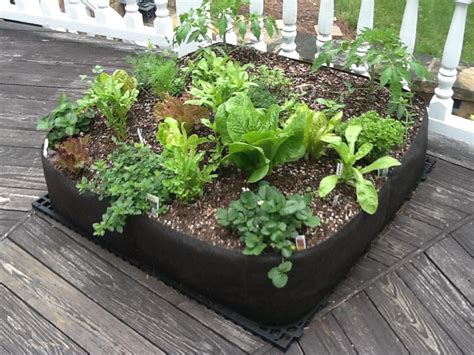 Container Gardening Vegetable Seeds Garden Design Ideas