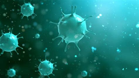 Coronavirus De enfermedad respiratoria a multisistémica cómo en pocas semanas cambió