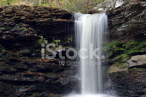 Waterfalls In Ricketts Glen State Park Stock Photo Royalty Free