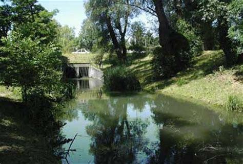 Er liegt mehr als 200 punkte über der leistung in. Das Mühlwasser - Wasserweg durch Wien