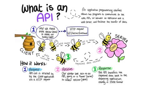 What Is An API API Definition RapidAPI