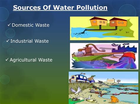 Effects Of Water Pollution On Living Organisms