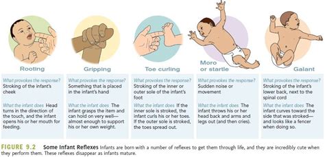 Infant Reflexes Understanding The Reflexes Of Newborns