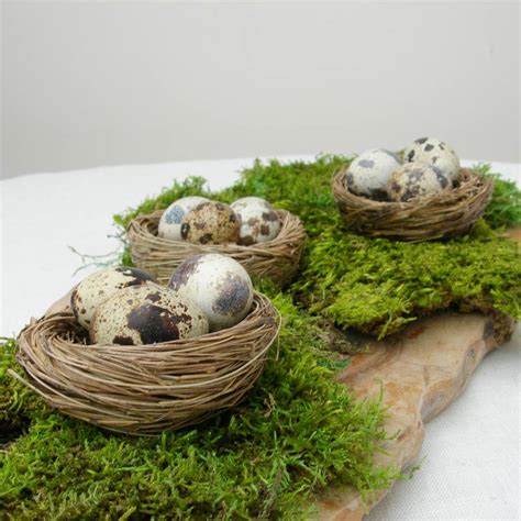 Set Of Three Natural Decorative Birds Nests By Just Add A Dress