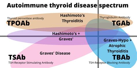 Remissions And Fluctuations In Autoimmune Thyroid Disease Trab