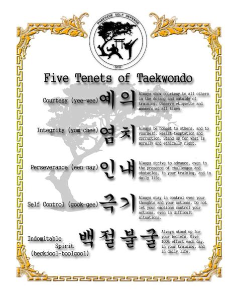 Taekwondo Martial Arts Etiquette