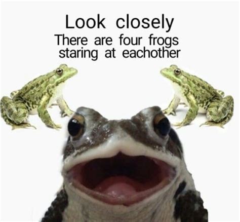 GØblincÕre — Truth Has Been Spoken Frog Frog Meme Cute Frogs
