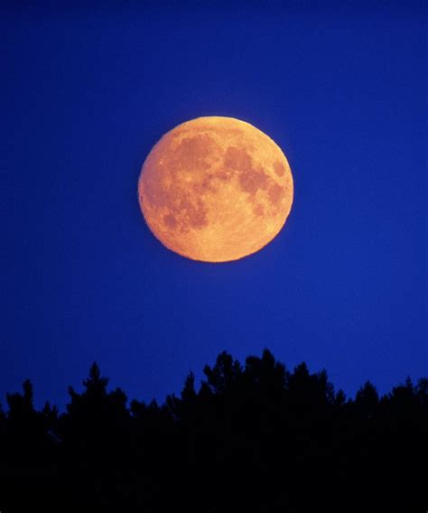 Heres How You Can Catch Aprils Pink Full Moon Full Moon This Month