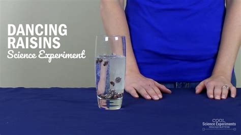 Dancing Raisins Science Experiment Simple Instructions And Video Tutorial